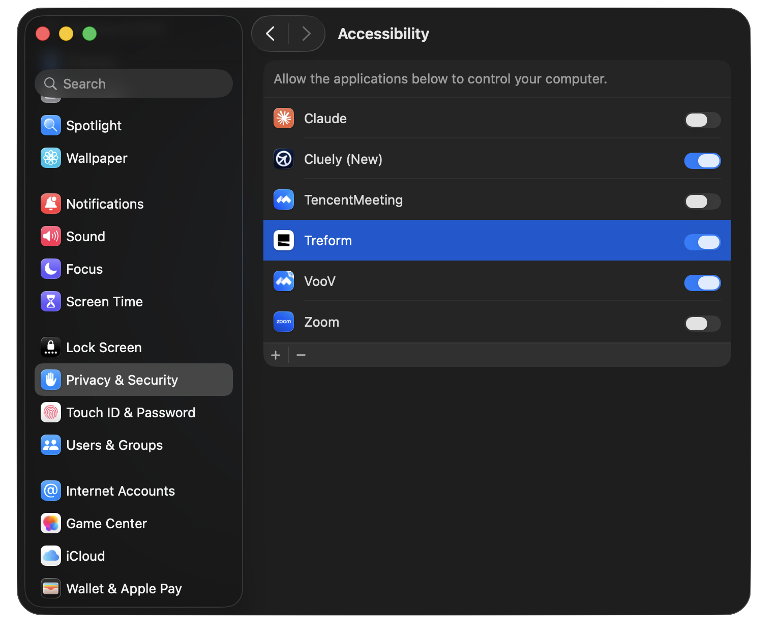 System Settings Accessibility list with Treform selected and the plus/minus buttons below it